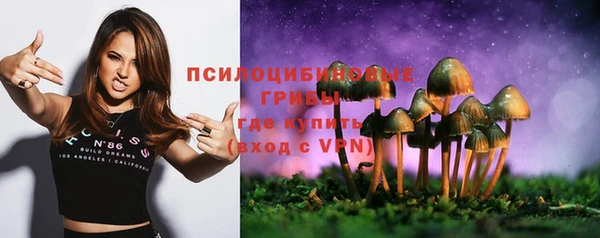 PSILOCYBIN Абдулино