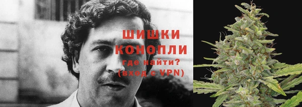 гидра Абинск