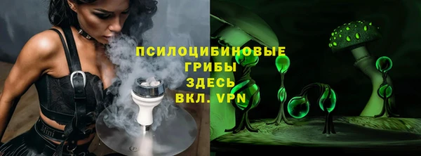 PSILOCYBIN Абдулино