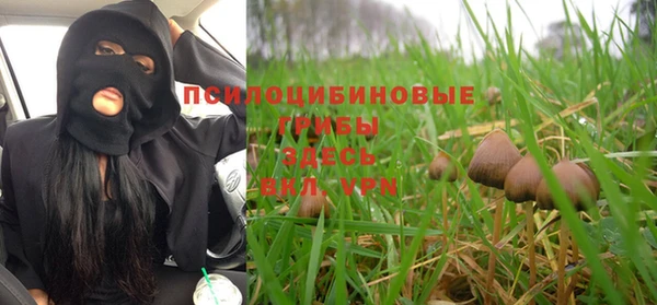 PSILOCYBIN Абдулино