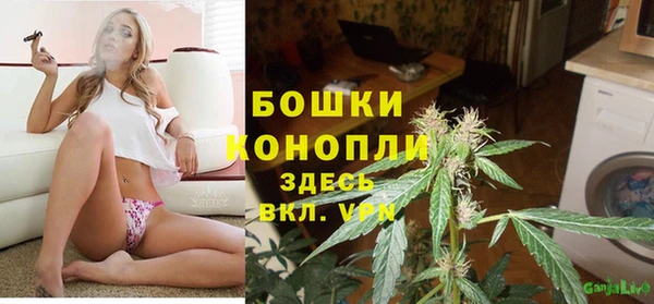 PSILOCYBIN Абдулино