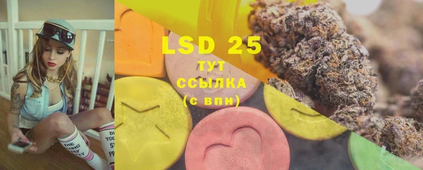 PSILOCYBIN Абдулино