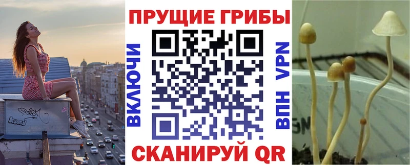 наркошоп  Сорск  Галлюциногенные грибы мицелий 